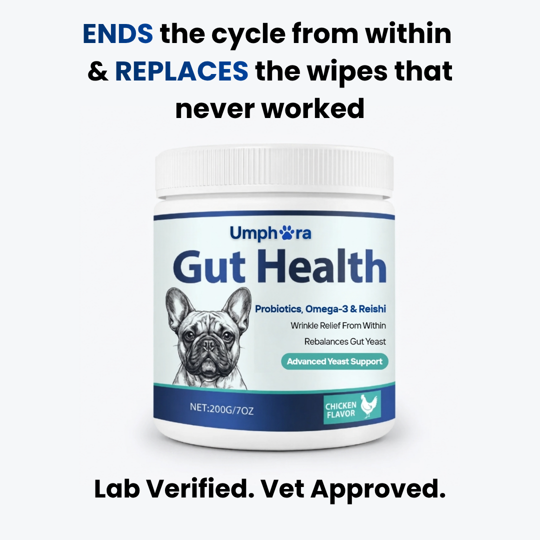 Umphora Gut Support Chews