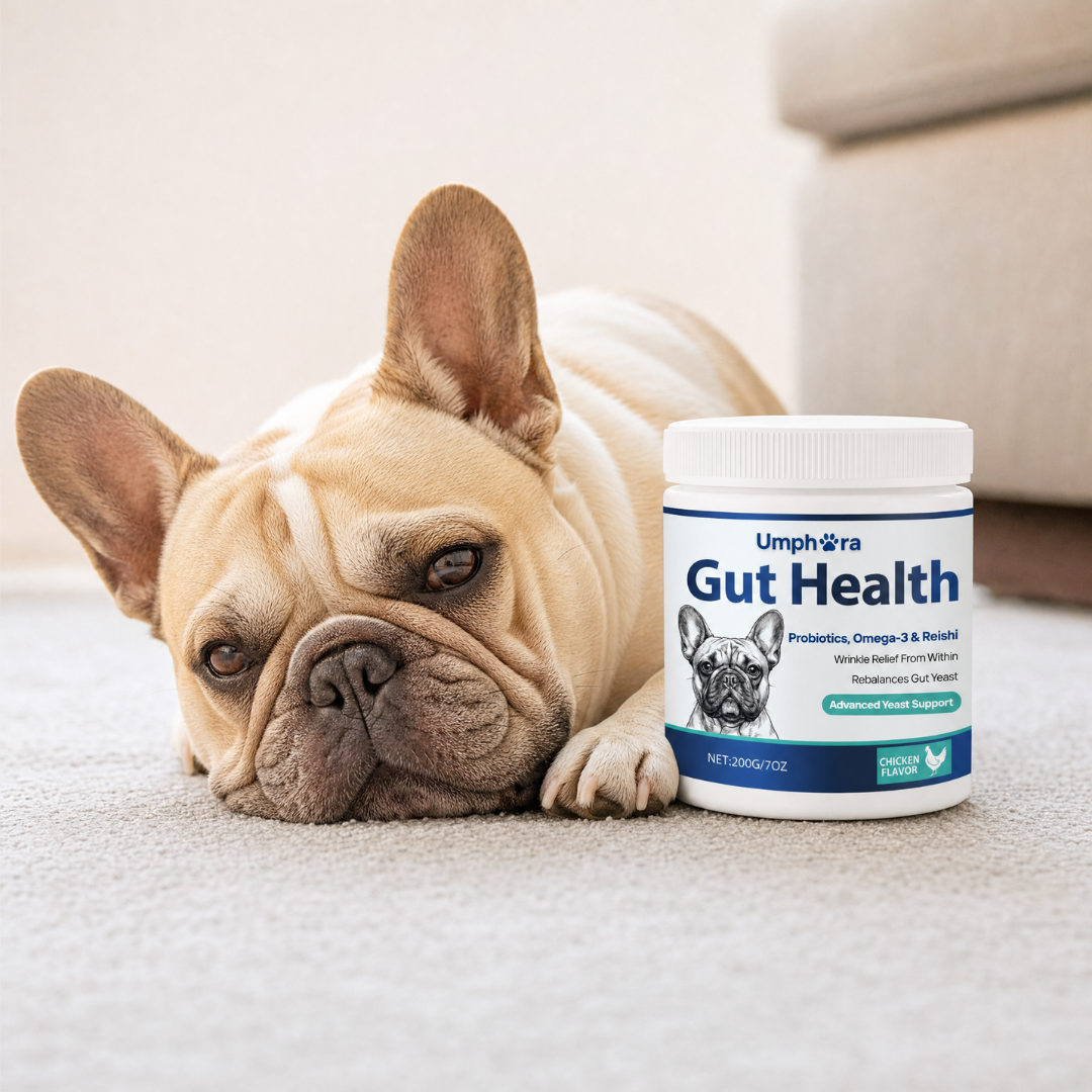 Umphora Gut Support Chews
