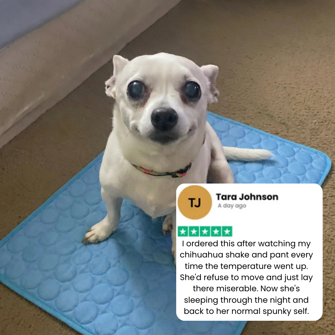 Umphora CoolBreath™ Mat